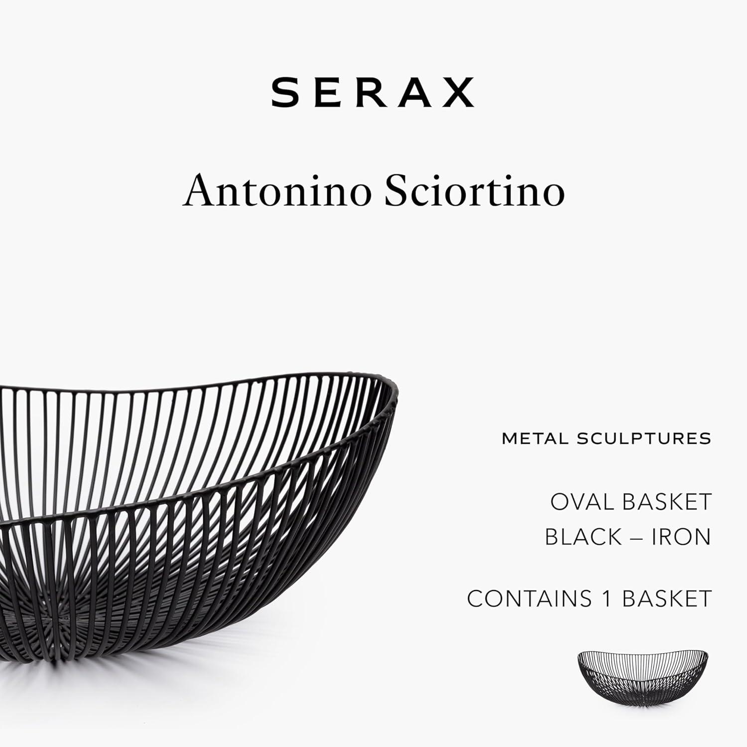imageHome Decor Fruit Bowl  Metal sculptures interior accessories by Antonino Sciortino  Oval Iron Kitchen Basket  Modern House Decor or Kitchen Storage for Counter and Table bread basket blackBlack