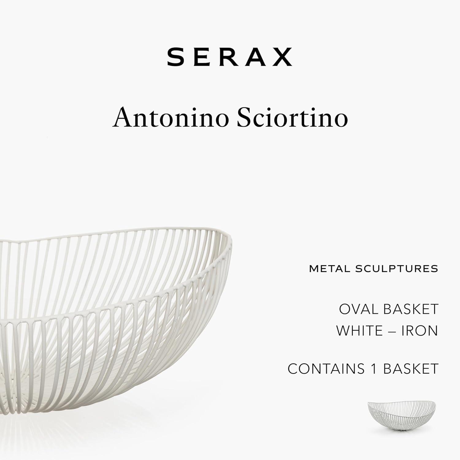 imageHome Decor Fruit Bowl  Metal sculptures interior accessories by Antonino Sciortino  Oval Iron Kitchen Basket  Modern House Decor or Kitchen Storage for Counter and Table bread basket blackWhite