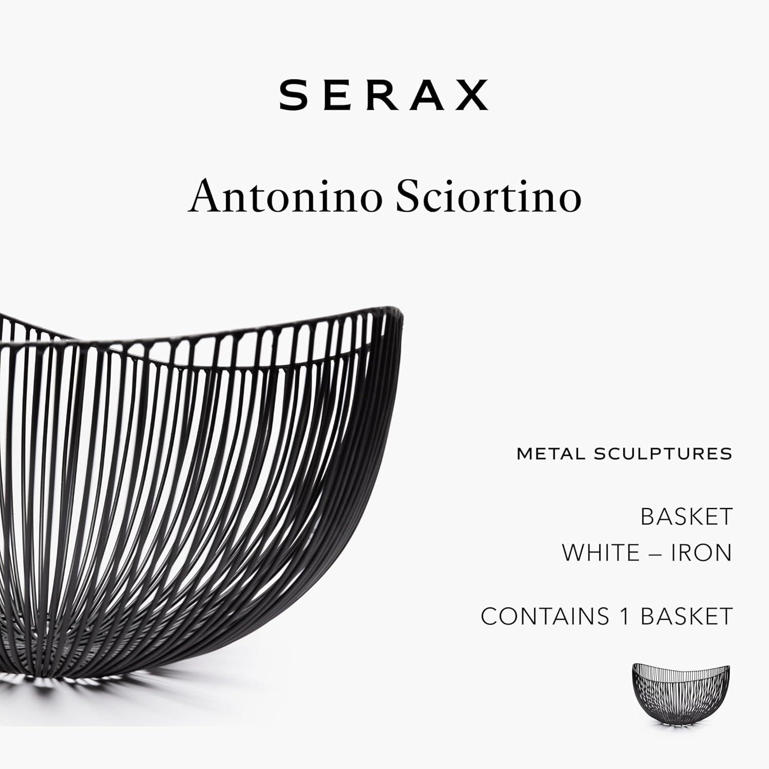 imageHome Decor Fruit Bowl  Metal sculptures interior accessories by Antonino Sciortino  Oval Iron Kitchen Basket  Modern House Decor or Kitchen Storage for Counter and Table bread basket blackBlack