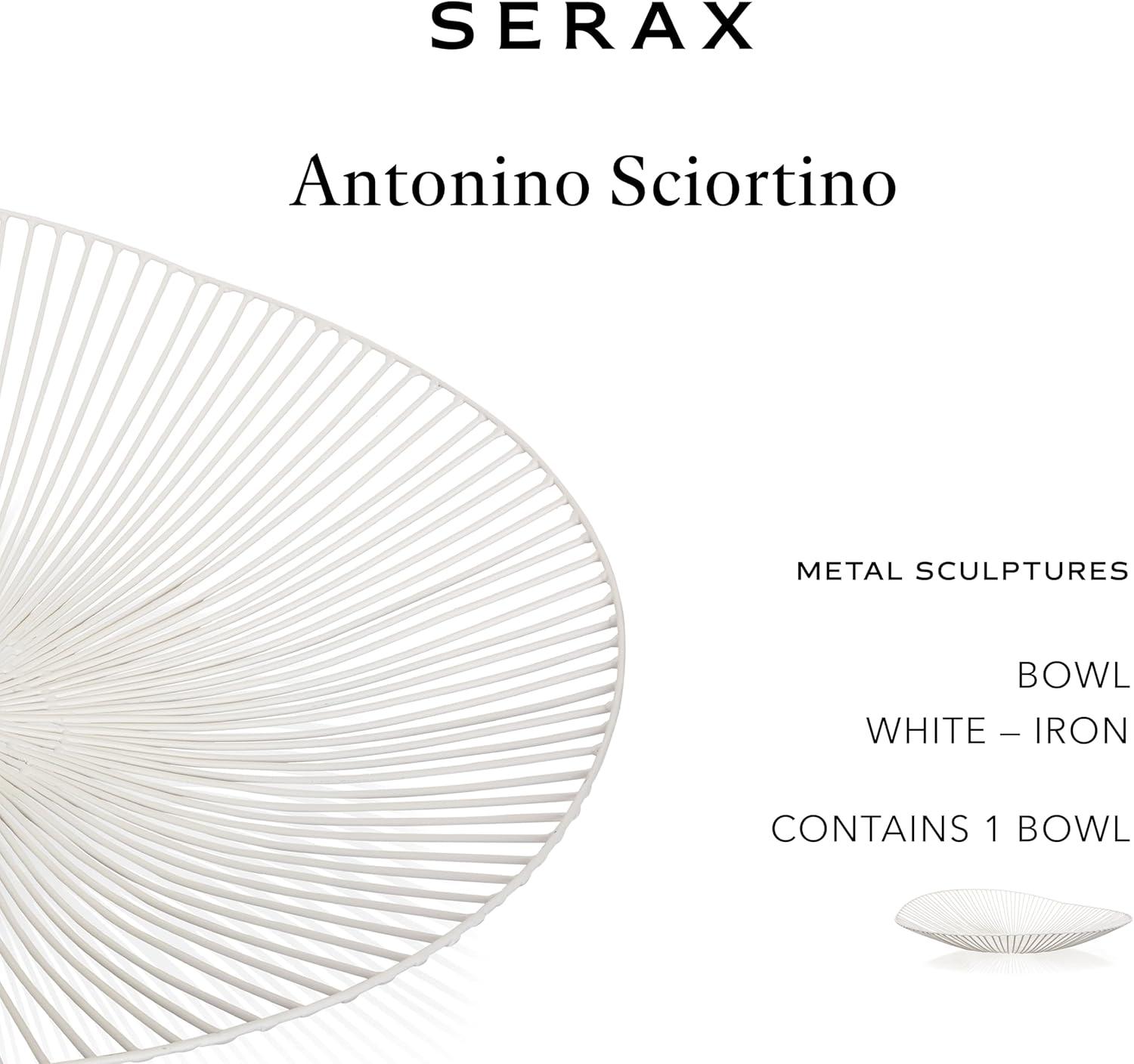 imageHome Decor Fruit Bowl  Metal sculptures interior accessories by Antonino Sciortino  Oval Iron Kitchen Basket  Modern House Decor or Kitchen Storage for Counter and Table bread basket blackWhite