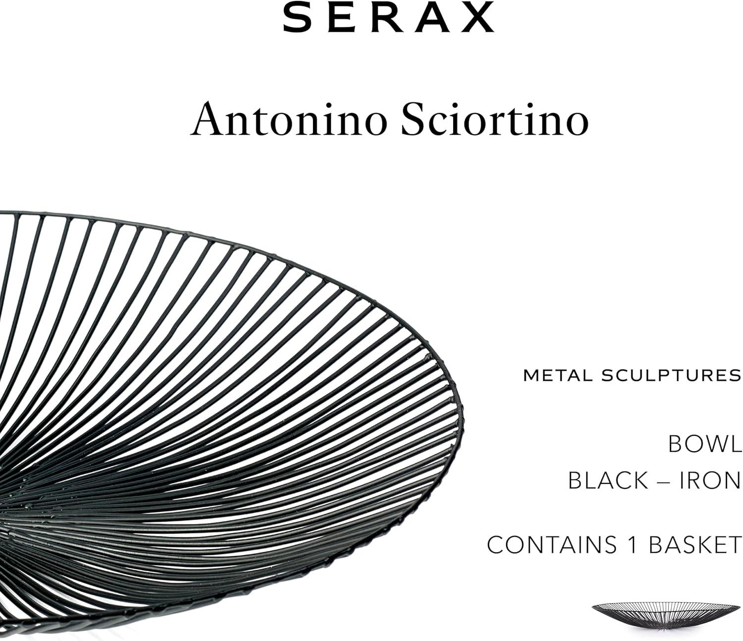 imageHome Decor Fruit Bowl  Metal sculptures interior accessories by Antonino Sciortino  Oval Iron Kitchen Basket  Modern House Decor or Kitchen Storage for Counter and Table bread basket blackBlack