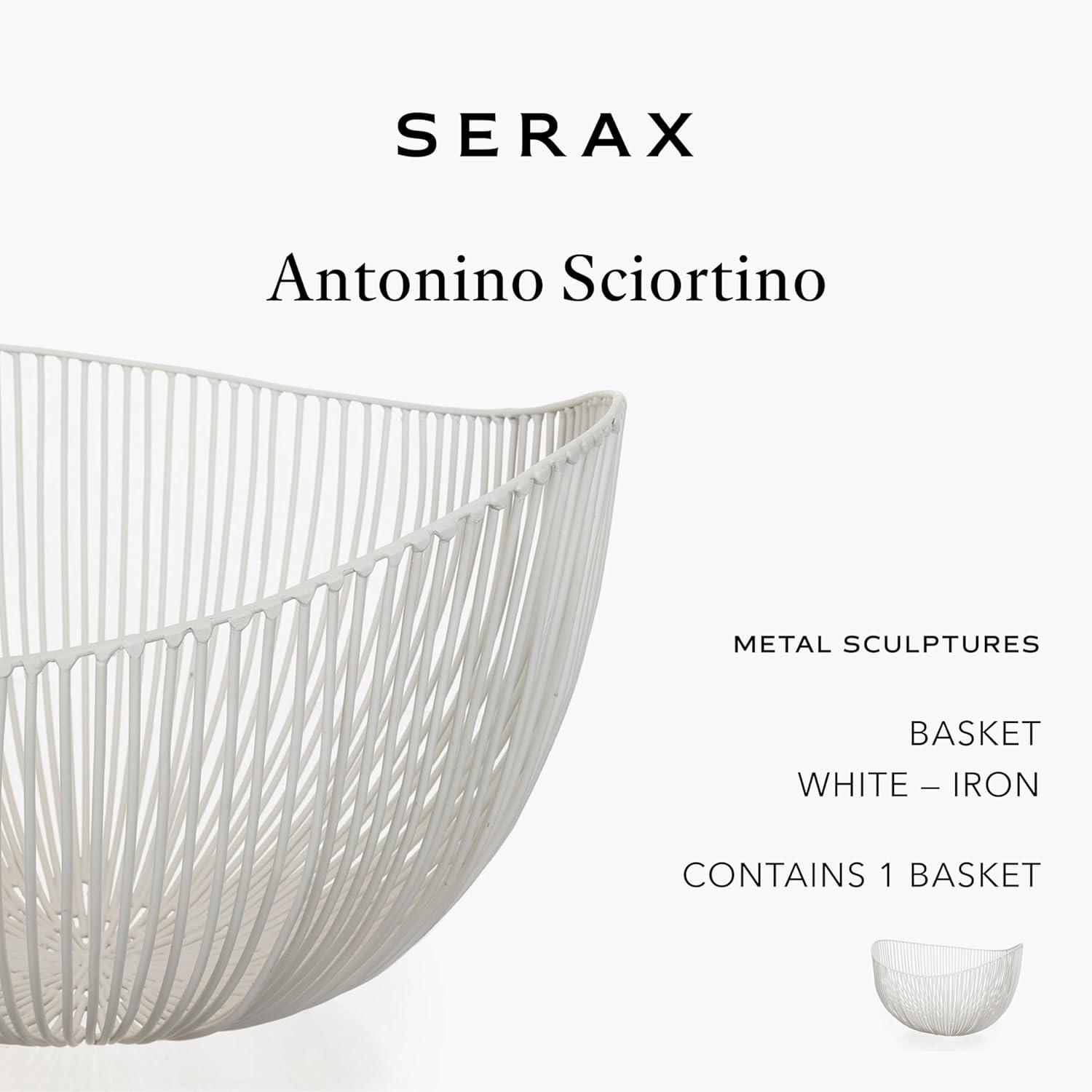 imageHome Decor Fruit Bowl  Metal sculptures interior accessories by Antonino Sciortino  Oval Iron Kitchen Basket  Modern House Decor or Kitchen Storage for Counter and Table bread basket blackWhite