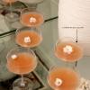 imageDune Wine Glasses  Dune glassware by Kelly Wearstler  Transparent Drinking Glasses  Glass Cups with Clear Stem  Champagne Flutes and Wine Glasses  Kitchen red wineChampagne coupe
