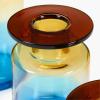 imageFlower Vase  Wind ampamp Fire by Marie Michielssen  Blue Glass Home Decor Living Room for Coffee Table Kitchen Decorations  Modern Entryway Table Decor or for Shelves  Unique Centerpiece Vases MLarge