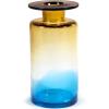imageFlower Vase  Wind ampamp Fire by Marie Michielssen  Blue Glass Home Decor Living Room for Coffee Table Kitchen Decorations  Modern Entryway Table Decor or for Shelves  Unique Centerpiece Vases MLarge
