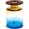 imageFlower Vase  Wind ampamp Fire by Marie Michielssen  Blue Glass Home Decor Living Room for Coffee Table Kitchen Decorations  Modern Entryway Table Decor or for Shelves  Unique Centerpiece Vases MMedium