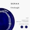 imageWhite Serving Plate with Face  Feast tableware by Ottolenghi  Serving Tray Dish Set for 1  Stoneware Microwave Safe Plates  Dinnerware Sets for Home PartyDark blue  white stripes